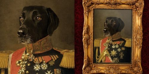 How to Choose the Perfect Frame for Your Pet’s Portrait